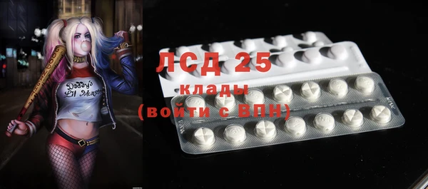 индика Абаза