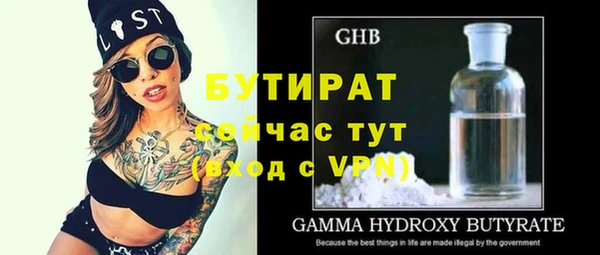 индика Абаза
