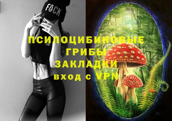 метамфетамин Алексин