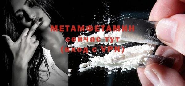 индика Абаза