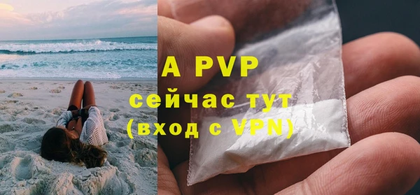 гашик Новозыбков