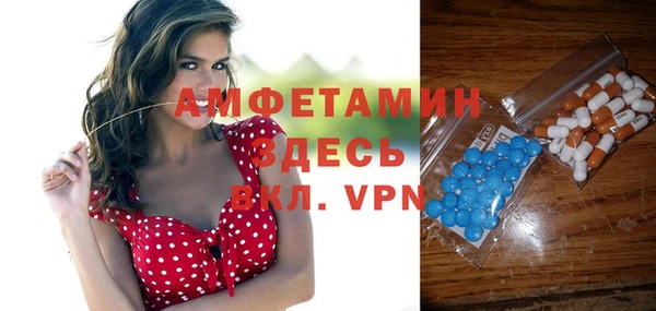 индика Абаза